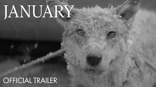 January - Trailer | In Select Cinemas & On Demand 27 January