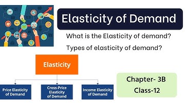 What is the elasticity of demand? | Economics class 12