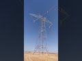 Guess the type of Transmission line? #transmissionline #youtubeshorts #foryou