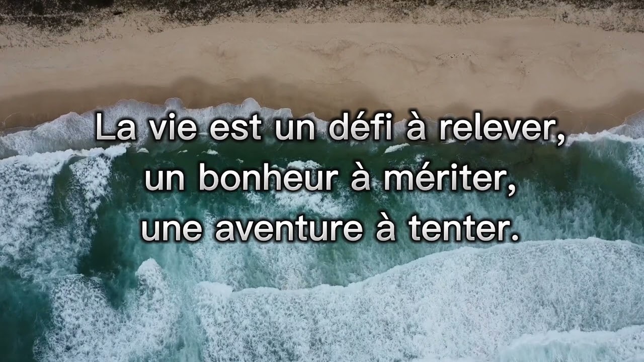 Proverbes Sur La Vie Citation Proverbes Youtubeshorts Youtube