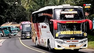 Hunting manuver bus best premium Luna dikejar dua bus keren menikung ngebut jalur Limbangan timur