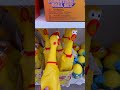 Screaming chiken toys