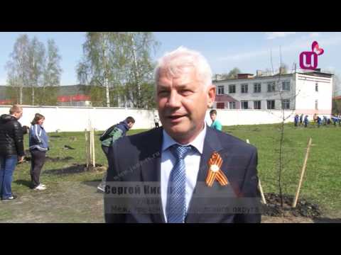 Посадка деревьев ко