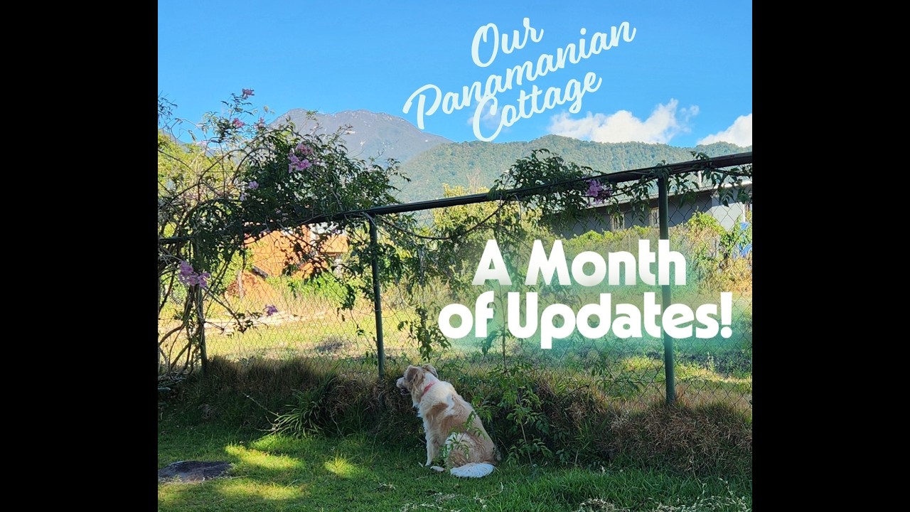 A Month of Updates at our Mountain Cottage in Panama