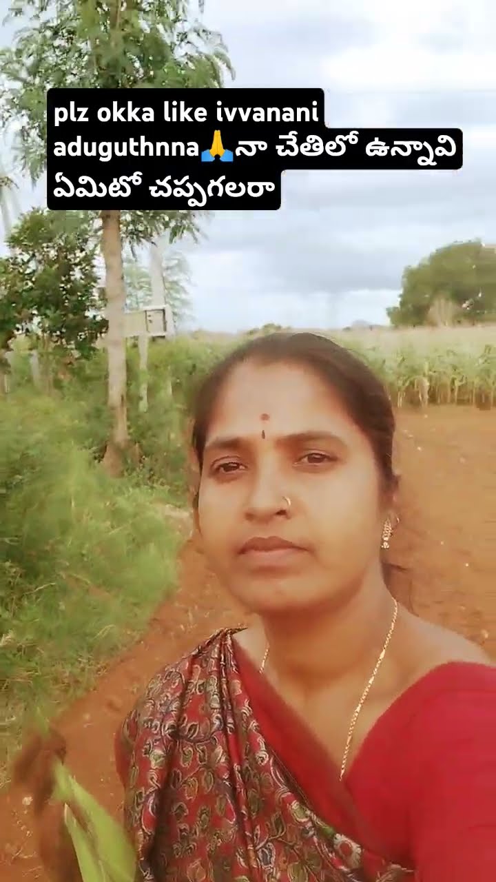 నాకు ఇలా పొలాలదగ్గరకు వెలడం చాలా ఇష్టం#trending #shortfeed#viralshort# ...