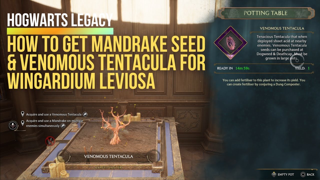 How To Get Mandrake Seeds Hogwarts Legacy - GINX TV