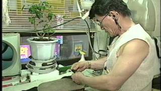 2002 08 16 mbc생생정보
