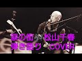 涙の街🎶松山千春 弾き語りCOVER