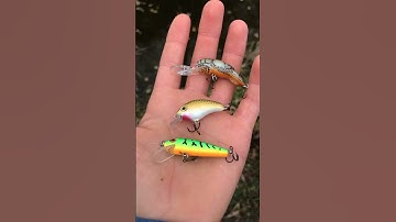 The Best Lures for Creek Fishing!
