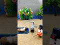 diy small tractor ideas and mini sheep bathed video # 663