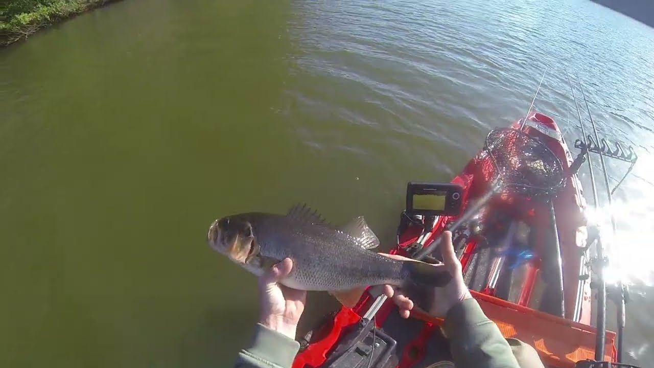 NC SPRING BASS FISHING, BIG FISH CAST TO CATCH!