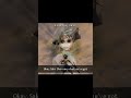 Sin and Punishment - Kachua and Saki transformation cutscene #shorts