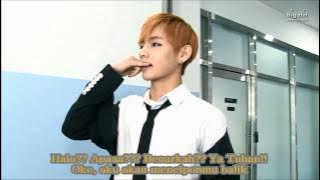 [INDO SUB] 방탄소년단 introduce 1st Fanmeeting - MUSTER