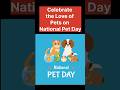 Happy National Pet Day |Per wala pyaar#shortsfeed#trending#viral#animals#pets#NationalPetDay#shorts