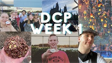 Check in Week || First week of the DCP || Week 1