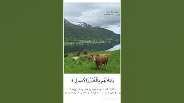 ولله يسجد من في السموات والارض طوعا وكرها عبدالله الموسى سورة الرعد هنا الامان