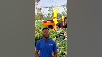 tree branch shredder machine mulcher diesel engine drive #fcnfm #youtube #treebranch #treeshredder