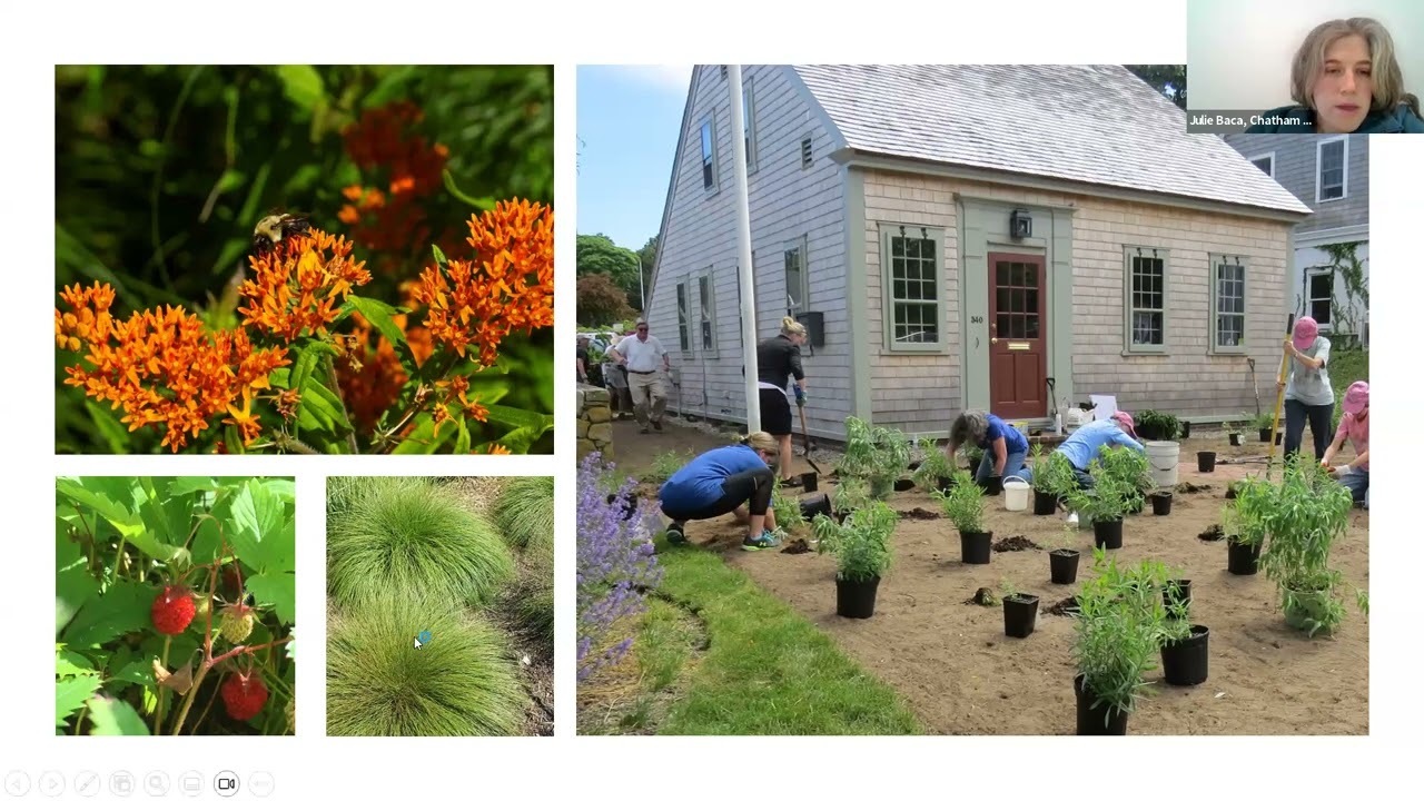2026 Update on CCF's Habitat Restoration Projects with Julie Baca