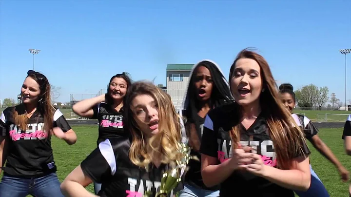 2015 2016 Willard High School Lip Dub