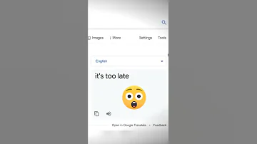 NEVER Type THIS Into Google Translate 3 Shorts 