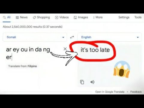 Never Type This Into Google Translate! Shorts