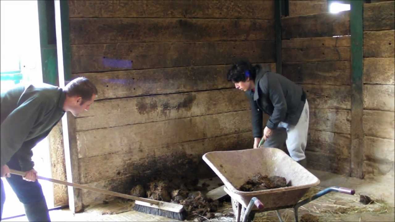 Wild Animal Keeper for a Day