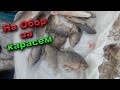 Рыбалка ХАПУЖКАМИ | Зимняя рыбалка на карася на Оборе