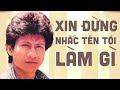 Xin Em Đừng Nhắc Tên Tôi Làm Gì! 50 Ca Khúc Để Đời Của Danh Ca Hải Ngoại Chế Linh