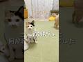 ラスト衝撃の事実が…⚠️ #shocking