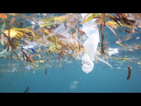 Plasten i din vardag - mikroplast i haven och återvinning av plast