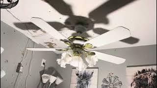 52 inch Hampton Bay Princeton ceiling fan 