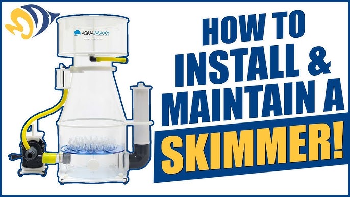 Q&A Series #9: What makes a good protein skimmer? 