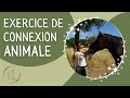 Si tu veux apprendre la communication animale: cette vidéo est faite pour toi !