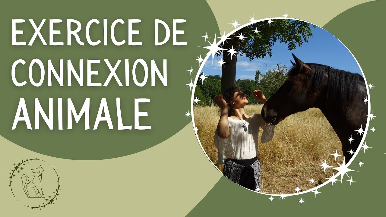 Si tu veux apprendre la communication animale: cette vidéo est faite pour toi !