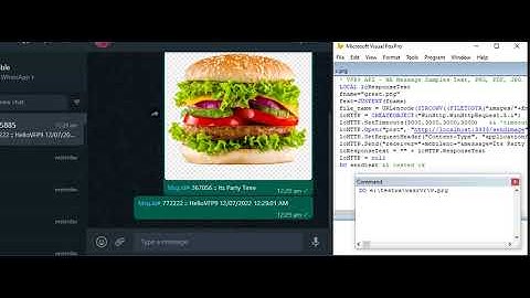 #Whatsapp #MultiDevice #VisualFoxpro 9.0 #Golang DLL #Multidevice Ready #WhatsApp Blast Messages