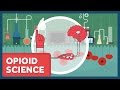 The Science of Opioids