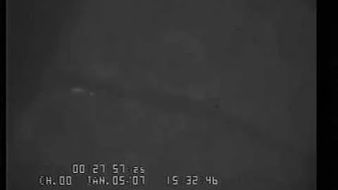 Borrelia burgdorferi tethering, dragging and crawling along a blood vessel wall in a live mouse