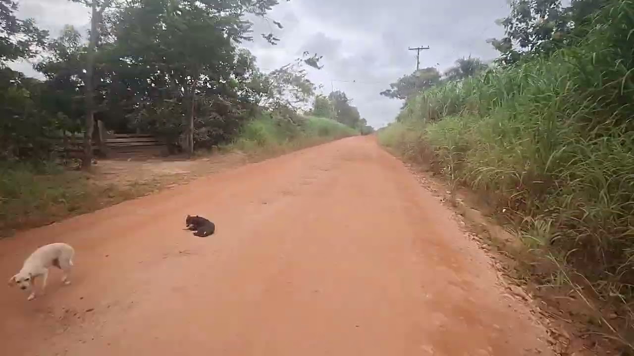 25 de fevereiro de 2026