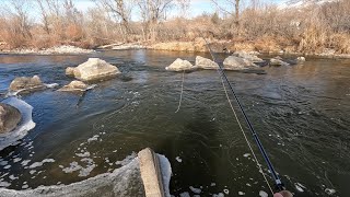 : Cold Windy Fly Fishing | Utah Fly Fishing