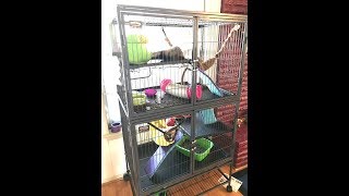 FERRET NATION CAGE ASSEMBLY  STEP BY STEP