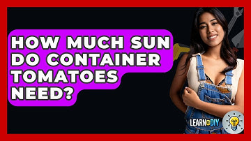 How Much Sun Do Container Tomatoes Need? - LearnToDIY360.com