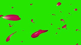 rose petals falling free green screen effect