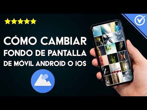 Como Quitar, Cambiar o Eliminar el Fondo de Pantalla de mi Móvil Android o iOS