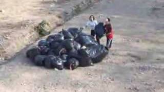Estudiantes limpiaron sector de Entre Puentes