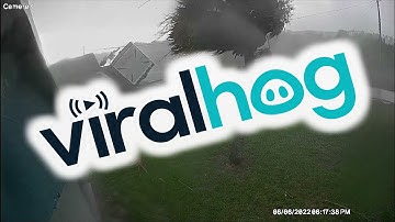 Property Damaged by Fort Pierce Tornado || ViralHog