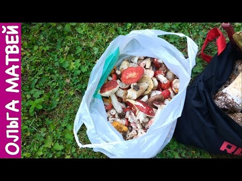 Сыроежки В Кляре - Вкусно и Просто!!!! | Fried Mushrooms Recipe