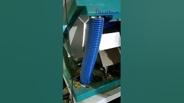 2 chute color sorter chrysanthemum Color Sorting