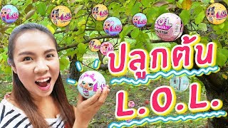 ปลูกต้น L.O.L ออกลูกได้ภายใน 15 วัน | พี่เฟิร์น 108Life