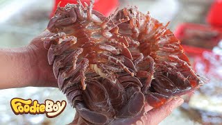 Extreme Seafood Cooking! Giant Isopod in Vietnam