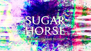 SUGAR HORSE - The Shape of ASMR to Come - Music Video